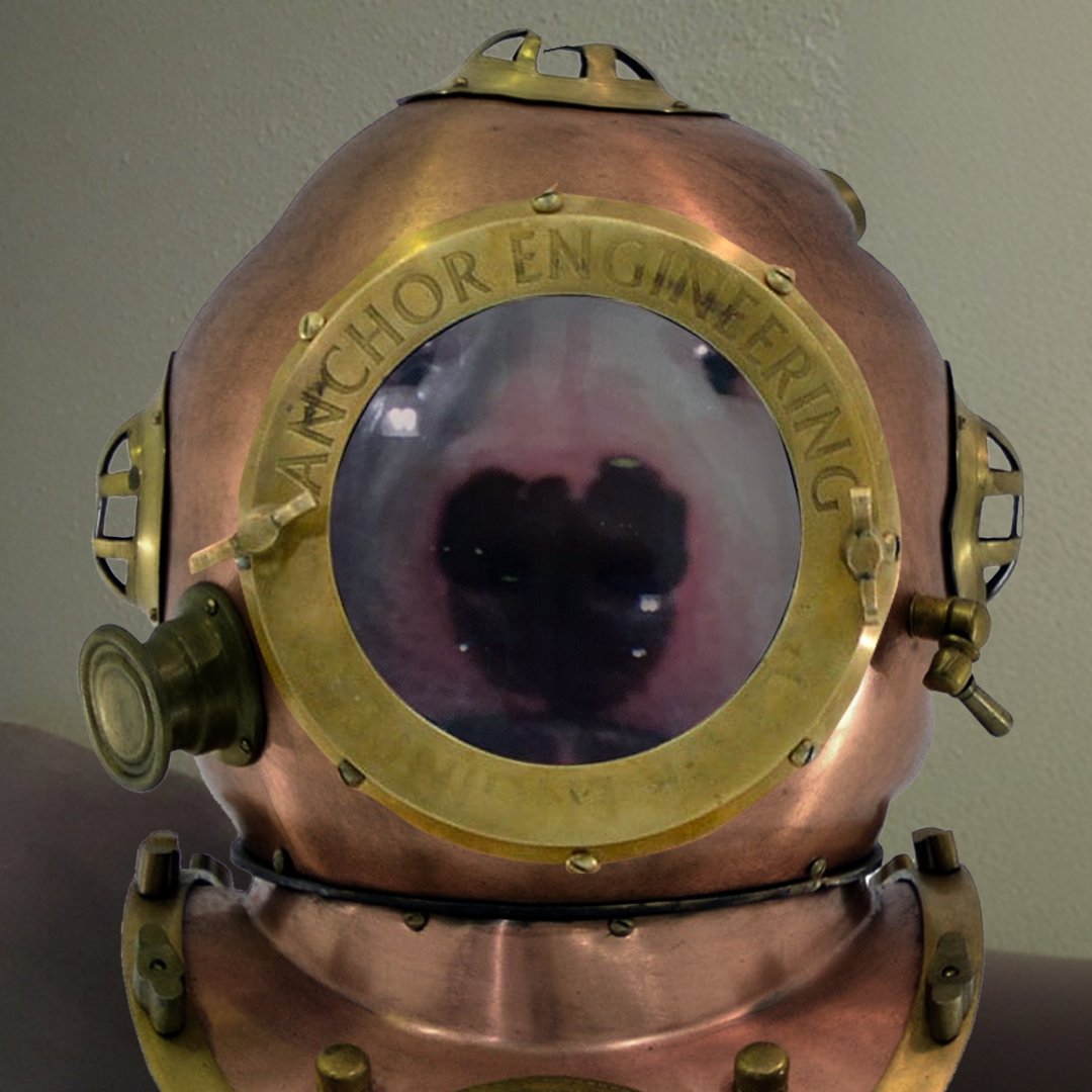 WalterDogs's tweet photo. DIVER $WALTER https://t.co/ErUaGuLRTe