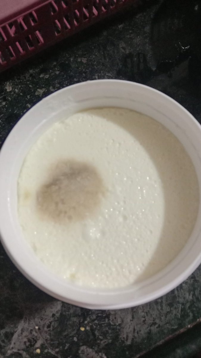SagarPatekar1's tweet photo. @MilkyMistIndia I purchased Milky Mist Curd from D-Mart on 6th Dec 2024, and found a black spot in it on 8th Dec-24. Attaching images of the issue and product details (batch, MFG, EXP). Please advise on next steps to address this quality issue. #CustomerComplaint #FoodSafety https://t.co/sTUJxPDStg