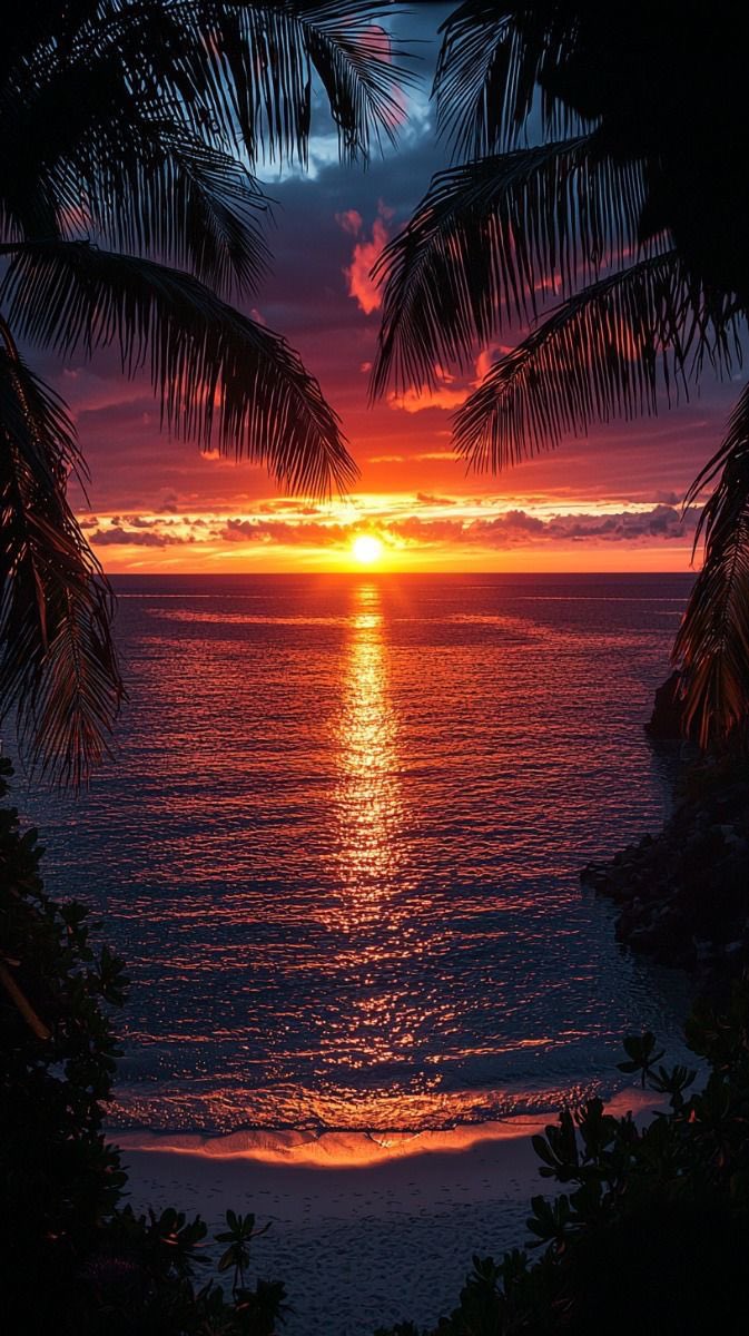 #قبل_الشروق
قبل الشروق، تتسلل الأحلام إلى الواقع، وتهمس النجوم بأسرار الليل. في تلك اللحظات الهادئة، يبدأ يوم جديد يحمل معه آمالاً جديدة…✍🏻