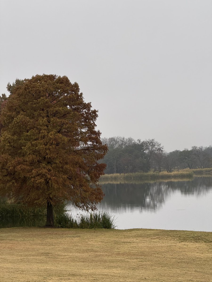 MacyJ87's tweet photo. Silence isn’t empty — it’s full of answers. 

Take one hour a day without your phone, without noise, and watch clarity replace confusion. 

Your mind needs space to think, not just things to consume. https://t.co/j79dFR8N7p