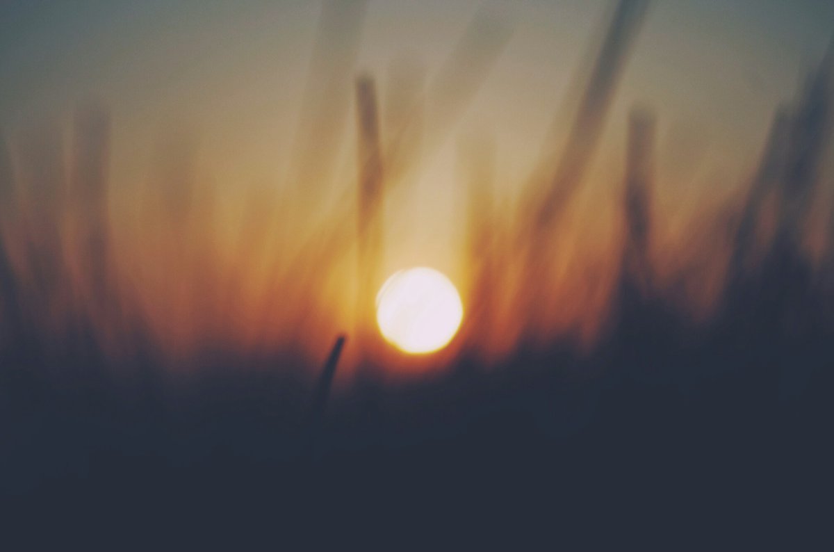 Something that doesn't get talked about enough: The extreme rise of electricity demand coming in the future.

There is an enormous source of energy in the sky that could easily power all of our technological activities.

We should harness it in ways that promote a health