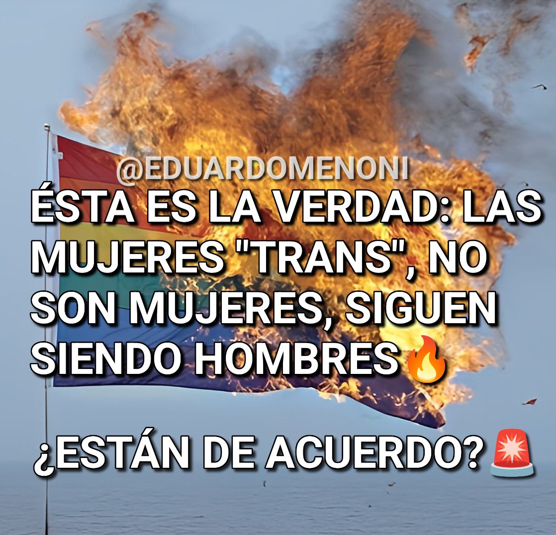 Alza tu mano 🙋🏻‍♂️ si también piensas lo mismo.