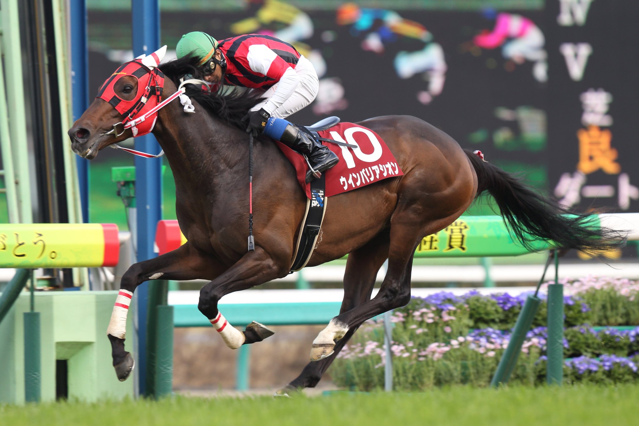 鉄道創作/ウインバリアシオン 鉄道創作/ウインバリアシオン ウインバリアシオン｜ウマ娘