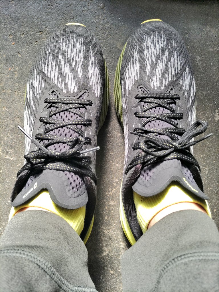yuya_fender's tweet photo. たまには相棒ちゃんを上げてやらんとな。
 #asics 
 #NOVABLAST3 https://t.co/U8LaxYrN9G