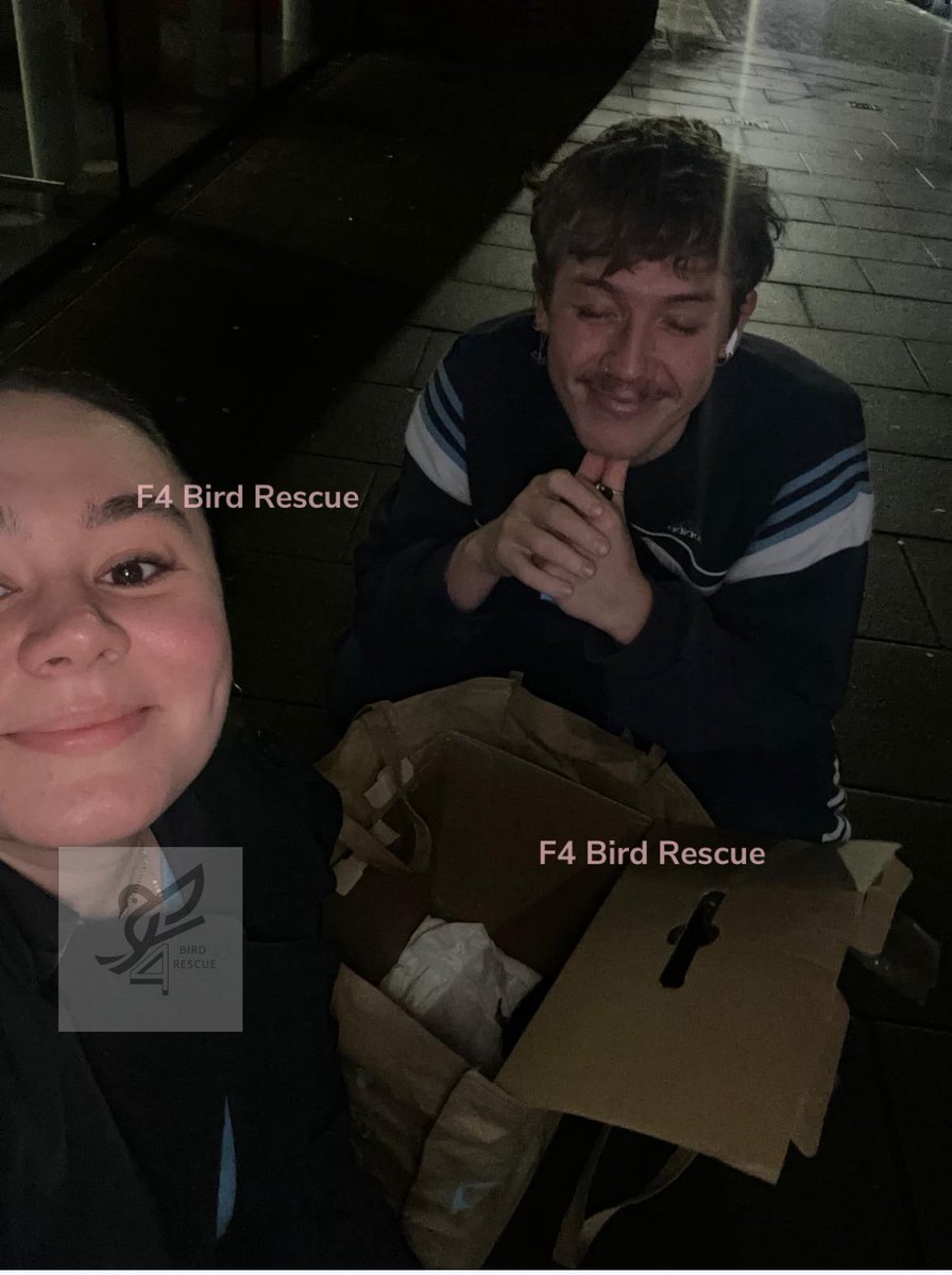 F4BirdRescue's tweet photo. When members of public initiative and do every they can to get a bird help 💚 no excuses at all 💚💚🐦 #fortheanimals https://t.co/62mpA3Egg6