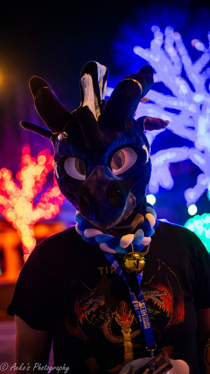 Thank you <a href="/Aekinko/">Aeko</a> for snapping this awesome photo of me at #midwestfurfest2024