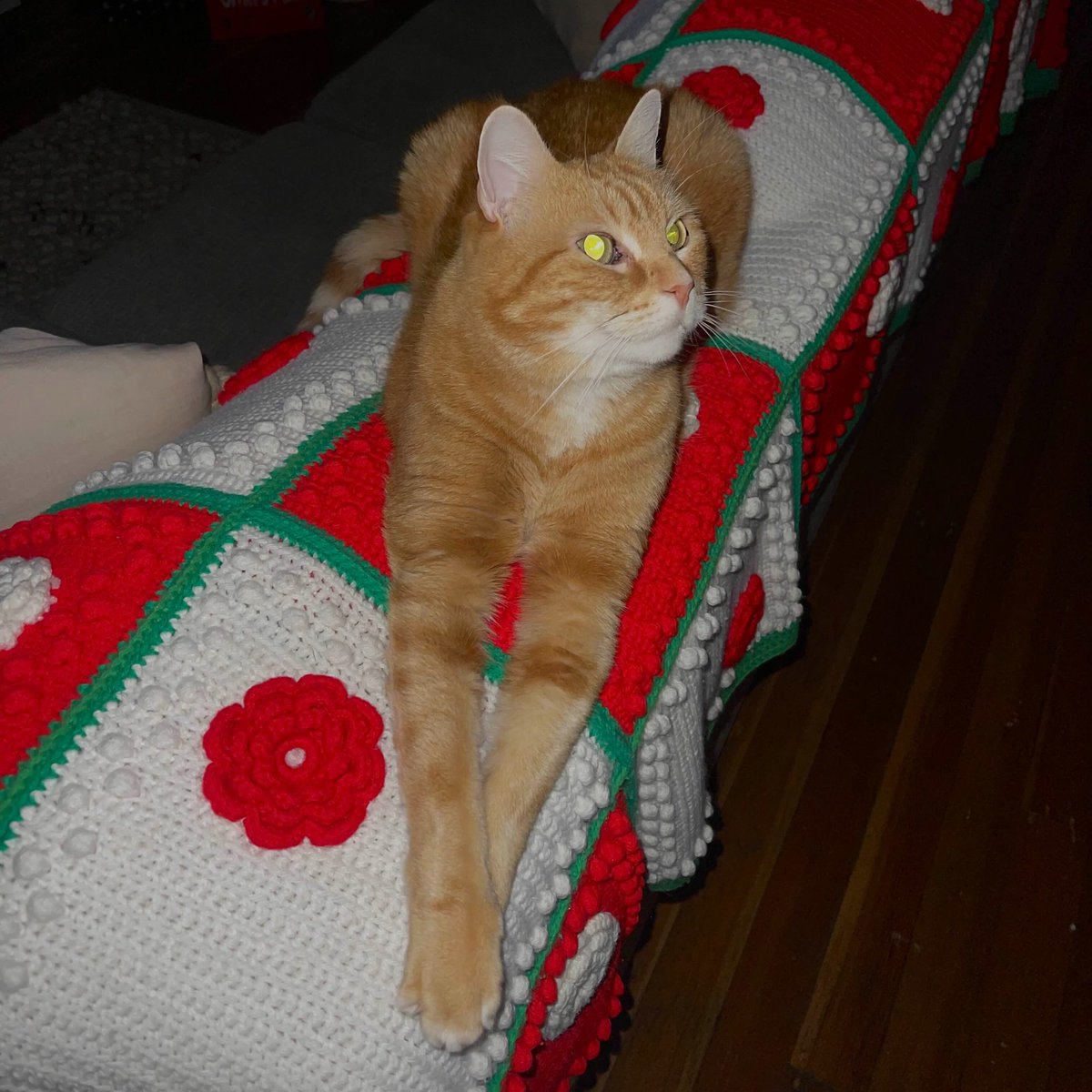 valentino tweet media