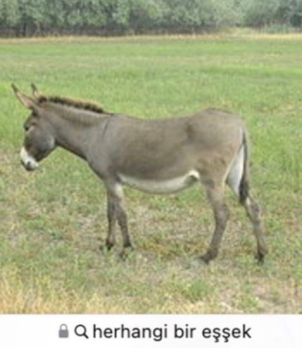 7 bucukta kalkicam ama uyumuyorum