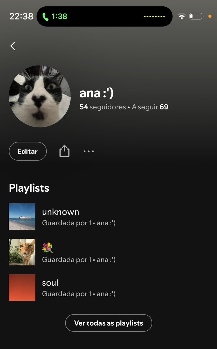 gato com nariz de coração