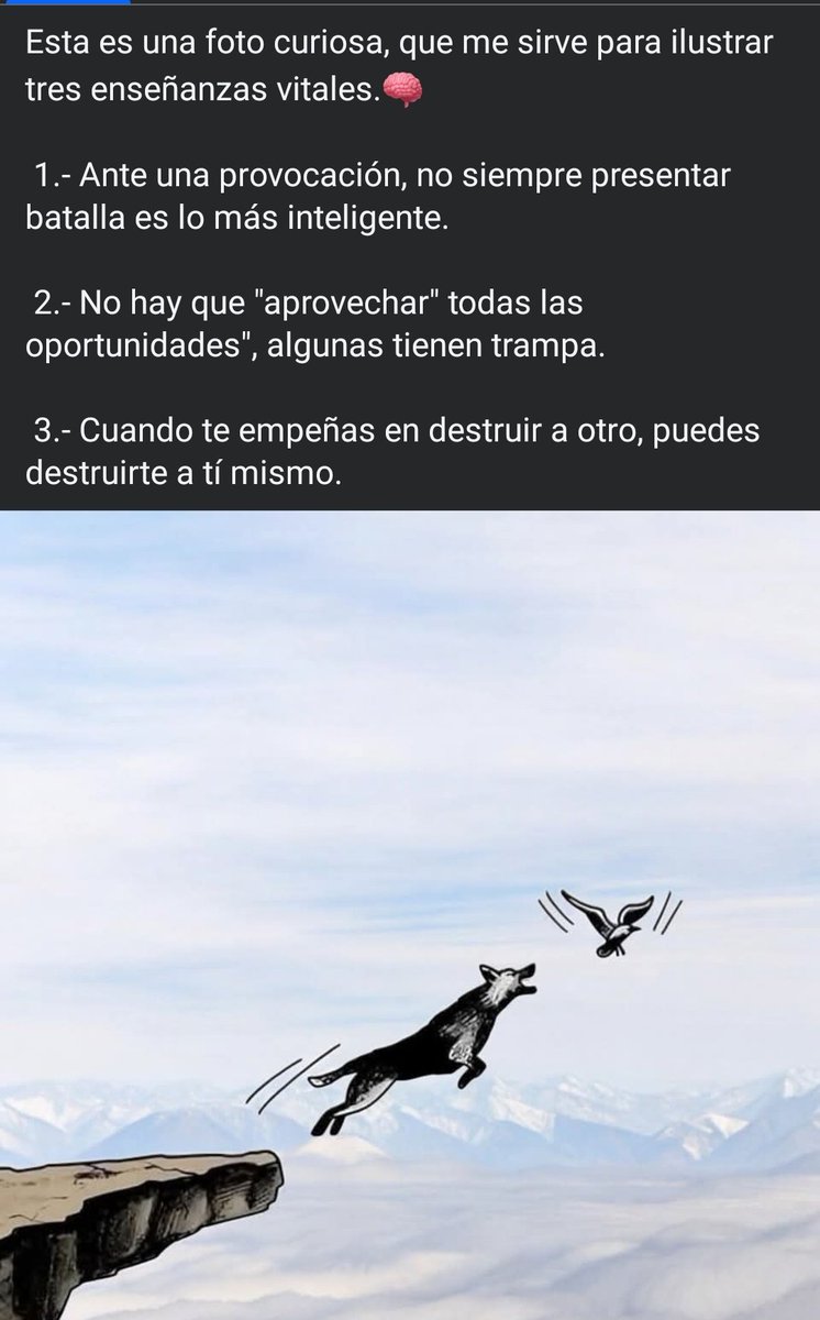 ConsejeroUNAM's tweet photo. Asi es... https://t.co/tYjBO4Q6sN