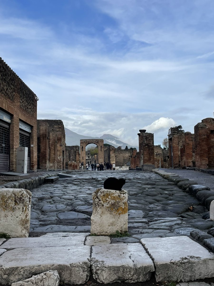 LegAvgvstiPrPra's tweet photo. Es imposible describrir con palabras lo uno siente cuando está en Pompeya en todos los niveles y aspectos. Es algo que hacía tiempo que yo personalmente no sentía, y que, es un auténtico regalo para los que amamos la historia antigua. https://t.co/PfO5c4YCZ6