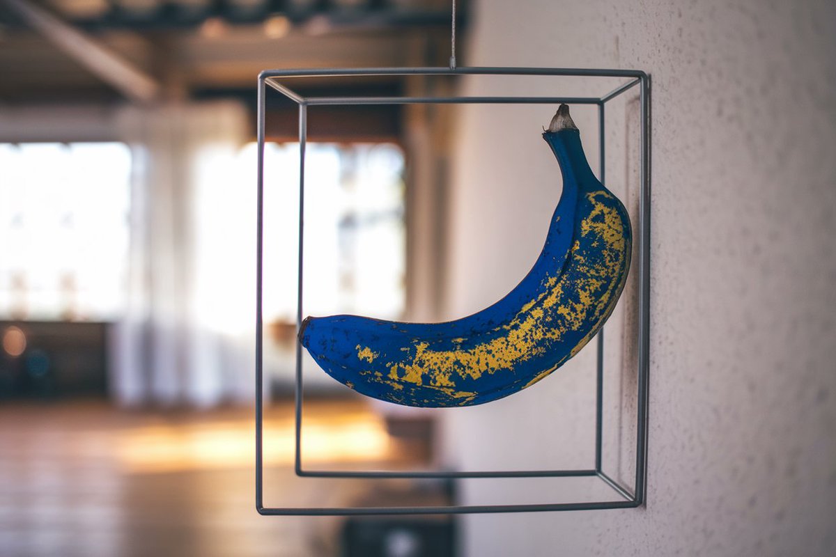 let go. burn it. your fusion #xchimp is waiting for you. the tribe is calling