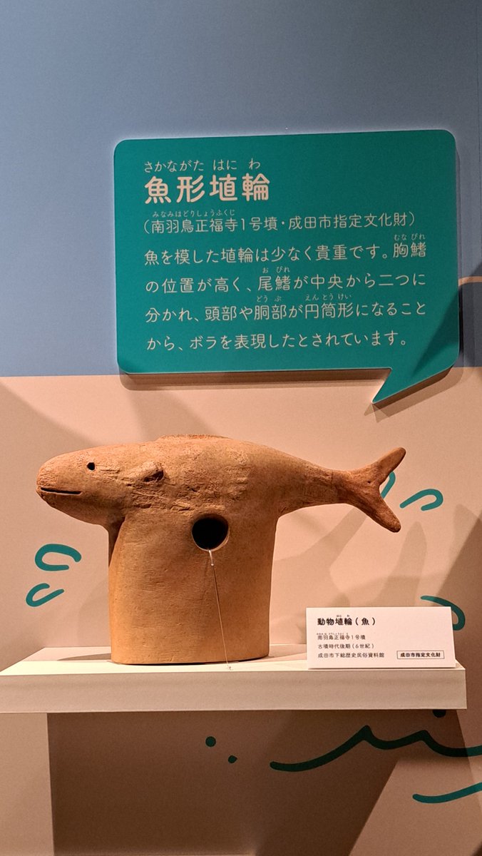 市原歴史博物館の「旅するはにわ」は今日まで。ムササビ形埴輪や魚形