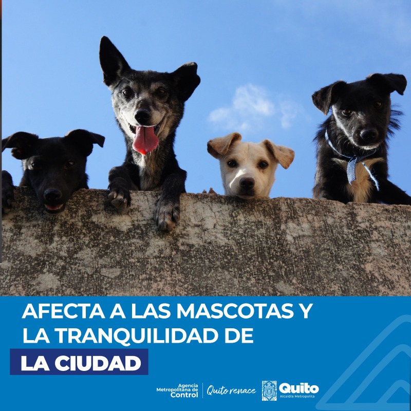 amcquito's tweet photo. 🚧 La Agencia Metropolitana de Control y el Cuerpo de Bomberos de Quito te recuerdan, la venta de pirotecnia en el espacio público está prohibida.
No pongas en riesgo tu seguridad.
Con orden y control.&amp;nbsp;#QuitoRenace https://t.co/OeIRWppEgC