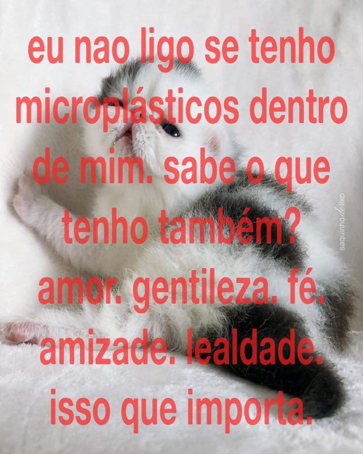iamwillwill's tweet photo. https://t.co/mjfKghlqpk