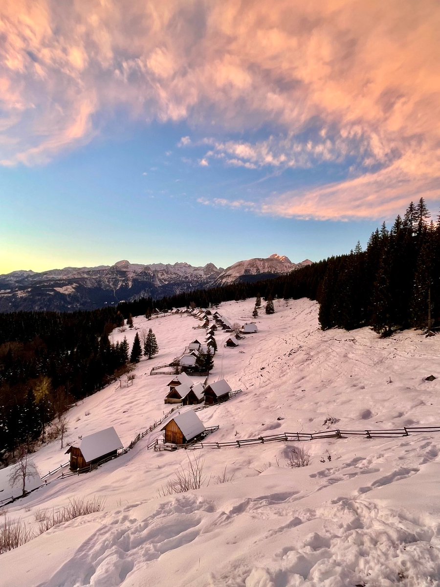 ExploringSlo's tweet photo. Hidden in southwestern Pokljuka, a high karst plateau in the Julian Alps with 6,300 ha of mostly fir forests, are numerous Alpine pastures. About 60 huts lie stretched across Zajamniki with a backdrop of mountain peaks to the west and the beautiful Bohinj mountains to the south. https://t.co/p9IJkMOvGy