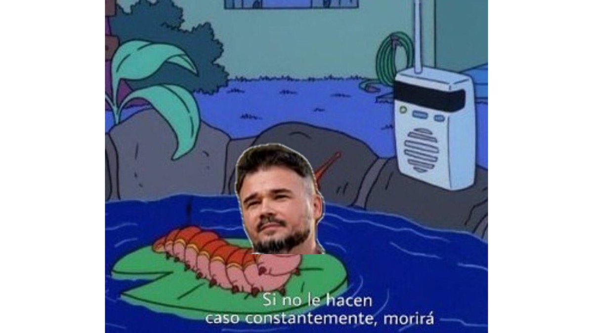 Tarot Roures (@tarot_roures) on Twitter photo 