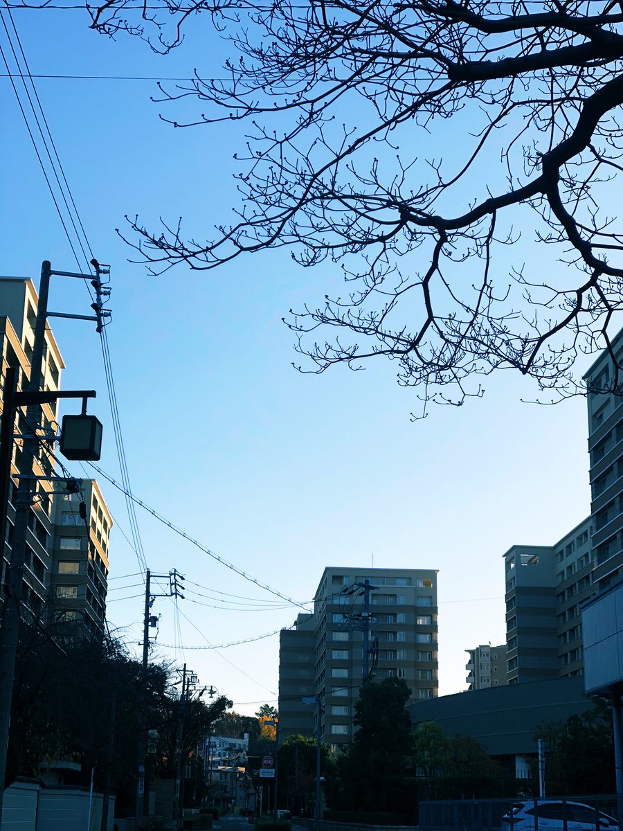 hanihani48's tweet photo. おはようさんです😁
今朝もブルッ😨
なかなか部屋が暖まらないわ🥲

👦🏻🧒🏻夜は自分の家で寝る事になって〜こちらは朝までグッスリ
子供を学校に出すのは大変ね（苦笑）

#イマソラ #いまそら #早朝の空
#今日も晴れ

歩道の可愛い #小菊 #ポットマム https://t.co/tMXG7AJsze