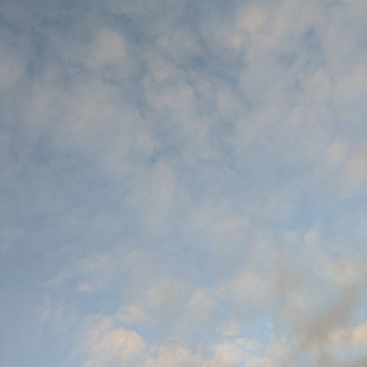 bhr_hogushi's tweet photo. 2024.12.10
暖かくなるのかな？
今日も怪しげな雲はあるが、
予報は晴れ。
自分が今日は晴れだと思うなら
それで良いのだと思う。
例え曇りの日だって、
自分にとって晴れの日だと
素直にそう思えるなら
それでいい。
#晴れの日 
#師走 https://t.co/N2najVjYYm