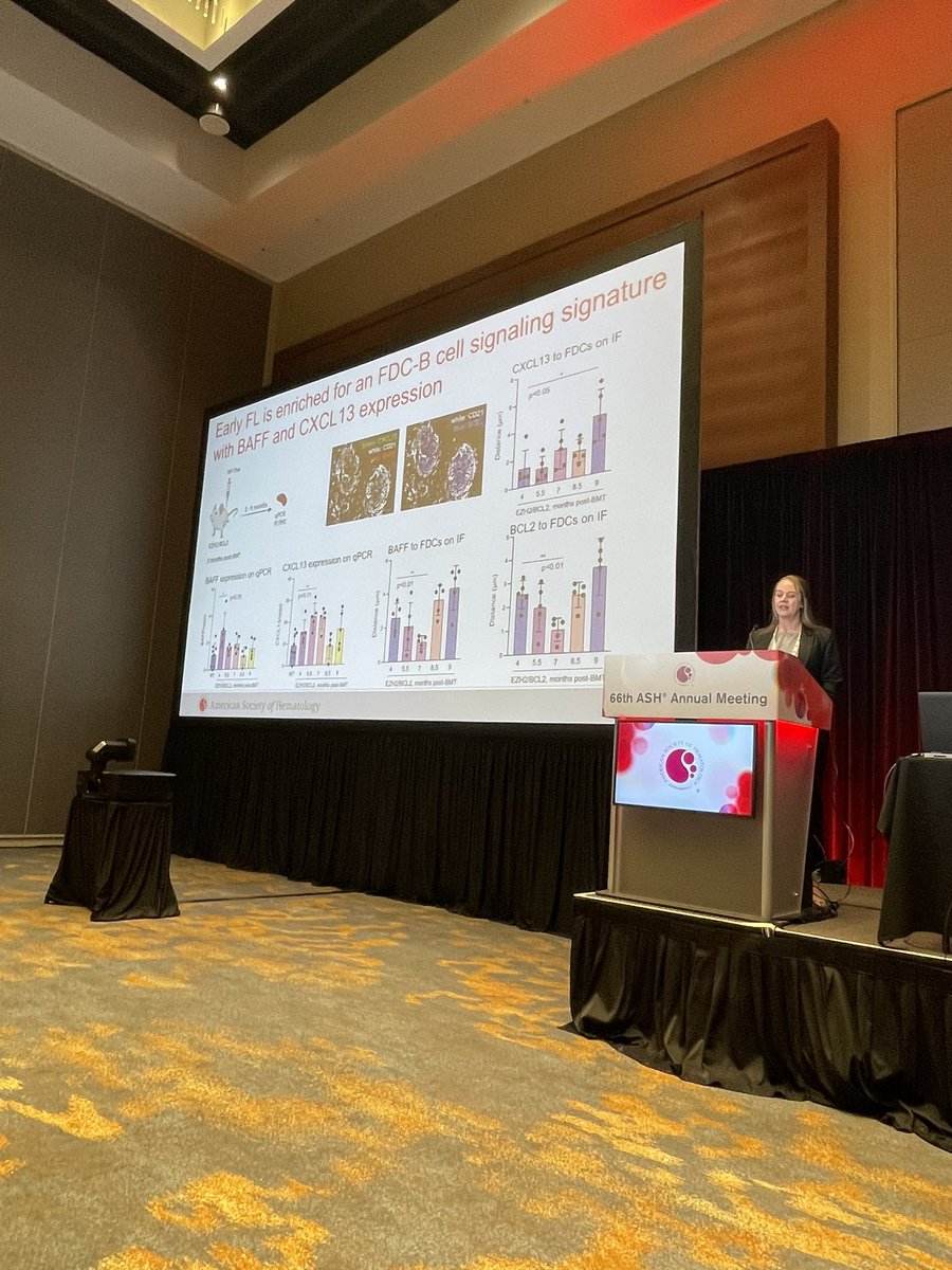 samyamshon's tweet photo. Dr @CaitieGribbinMD presented incredibly data on the role of follicular dendritic cells and the temporal relationship with FL progression… with actionable targets! Incredible and provocative work, we’re excited to have her join our faculty! @WCMHemOncFellow @WCMLymphoma #ASH24 https://t.co/5vAD5K61OZ