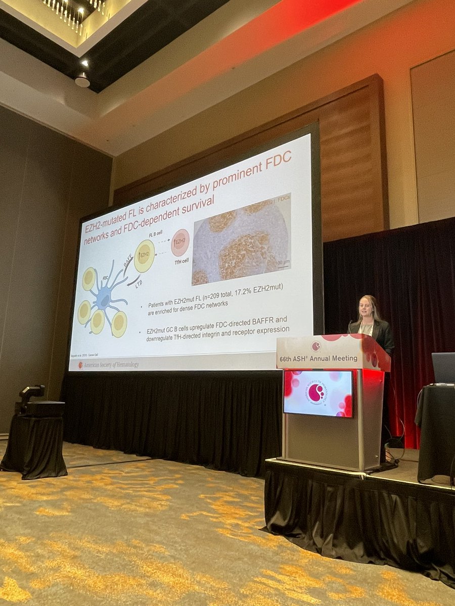 samyamshon's tweet photo. Dr @CaitieGribbinMD presented incredibly data on the role of follicular dendritic cells and the temporal relationship with FL progression… with actionable targets! Incredible and provocative work, we’re excited to have her join our faculty! @WCMHemOncFellow @WCMLymphoma #ASH24 https://t.co/5vAD5K61OZ