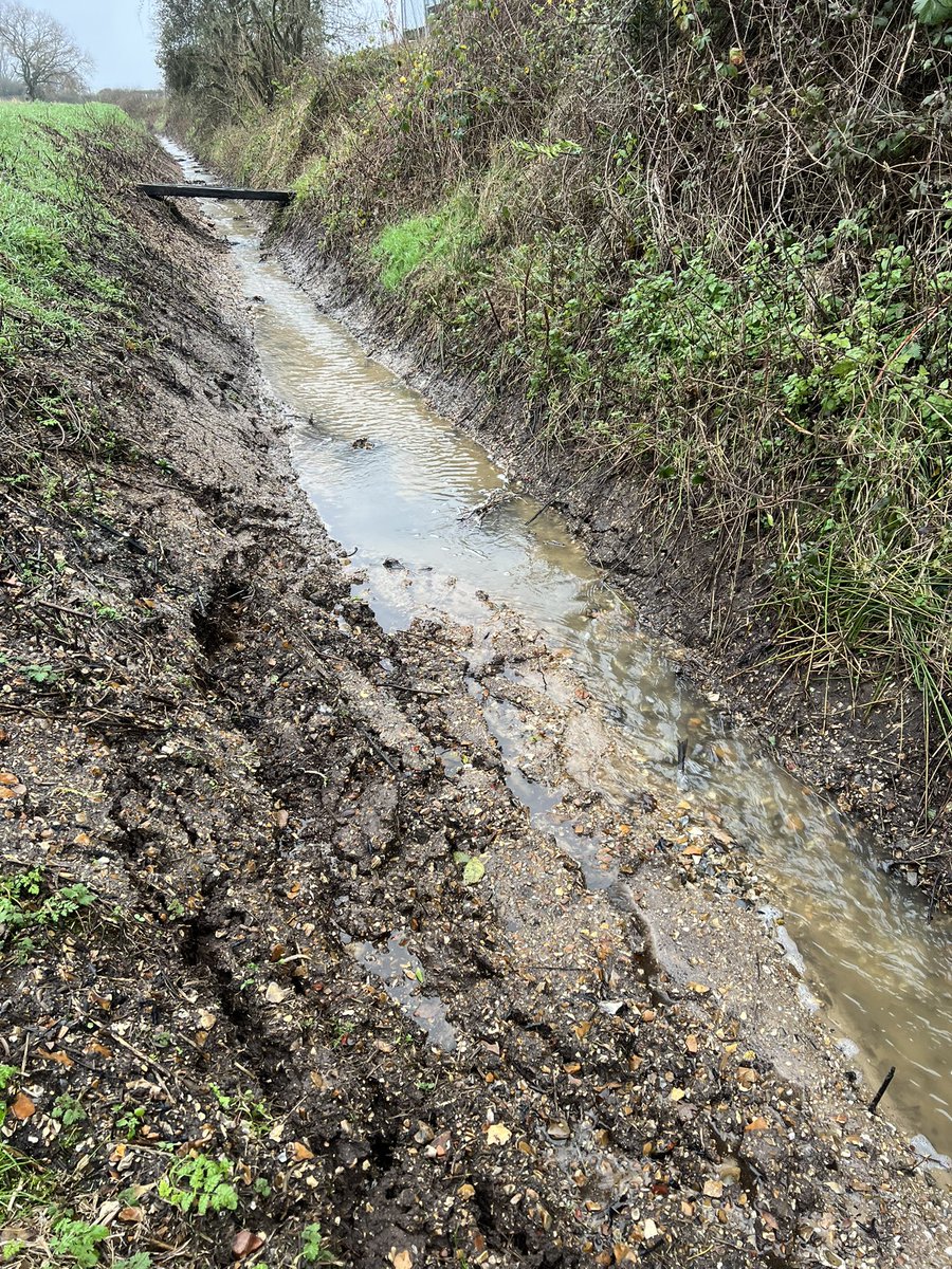 Possibly Norfolk’s River Lugg moment🤔 over half a mile of WaterVole habitat destroyed + a gravel bed used by spawning Brown Trout now turned into a porridge of Clay silt