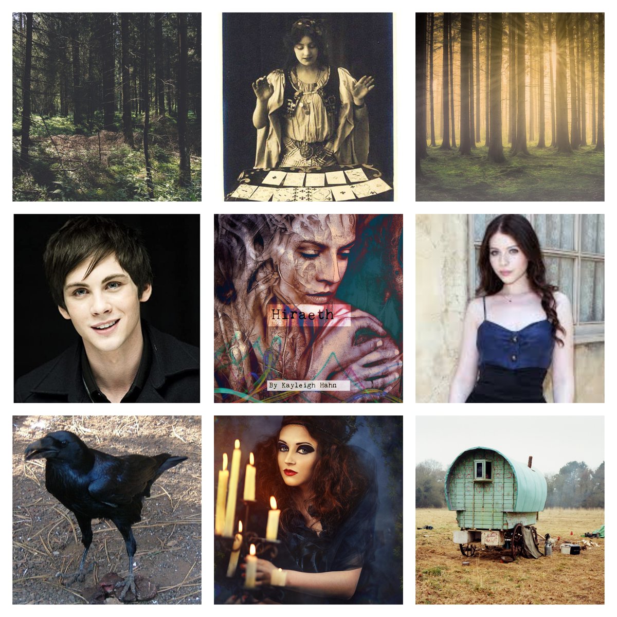 HAZELWOODXCARAVAL
What The Narrator knows:
🐦Ravens can't be trusted
🖤His heart is missing
❓He's an amnesiac
👀Travelers disappear when they meet the Madam
What he doesn't know:
💀What lurks in the woods
🎀Why Elise is familiar to him
❓How he's still alive
#CheerPit #YA #F #Q