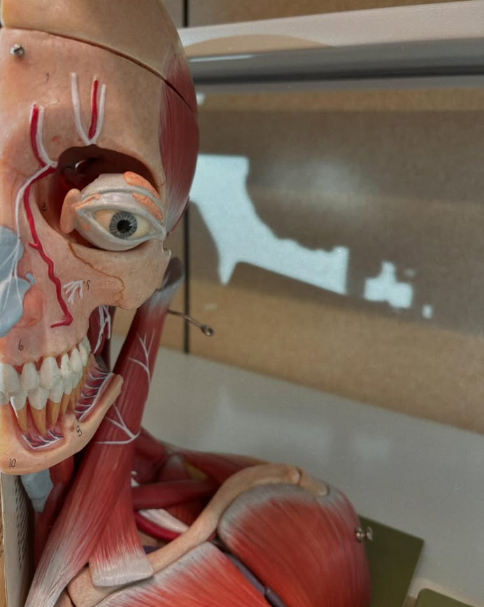 It is finals week! How are we feeling?