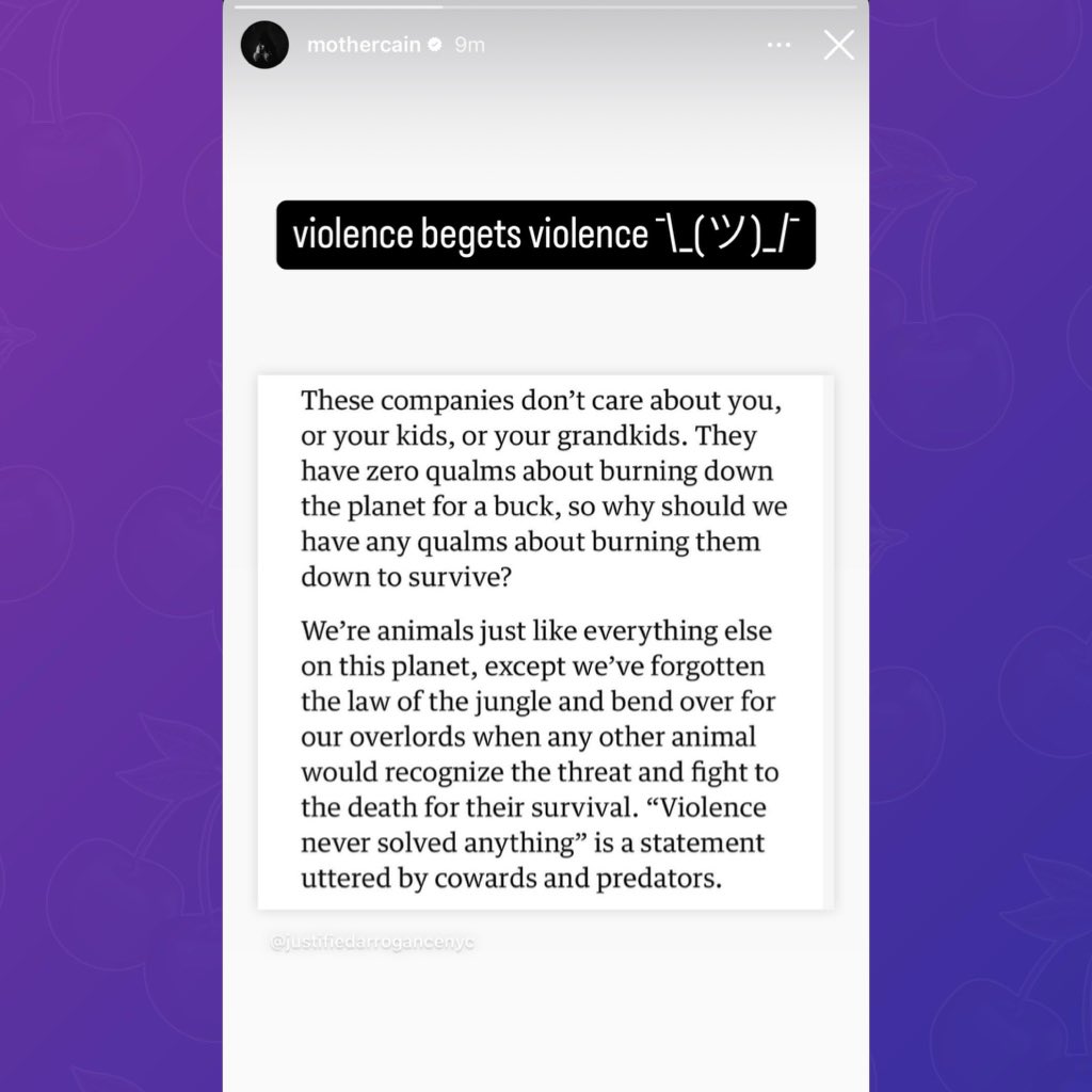 Ethel Cain reposts statement calling for the freedom of Luigi Mangione, current person of interest in connection to the murder of UnitedHealthcare’s CEO:

“violence begets violence”