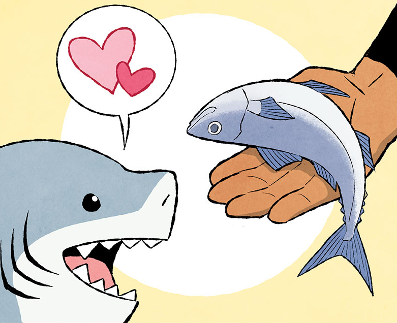 pampurins's tweet photo. No one can ever make me hate you Jeff The Land Shark 🦈🩷 https://t.co/eADAqixBhJ