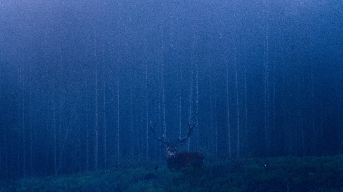 Eamon 🌃 tweet media