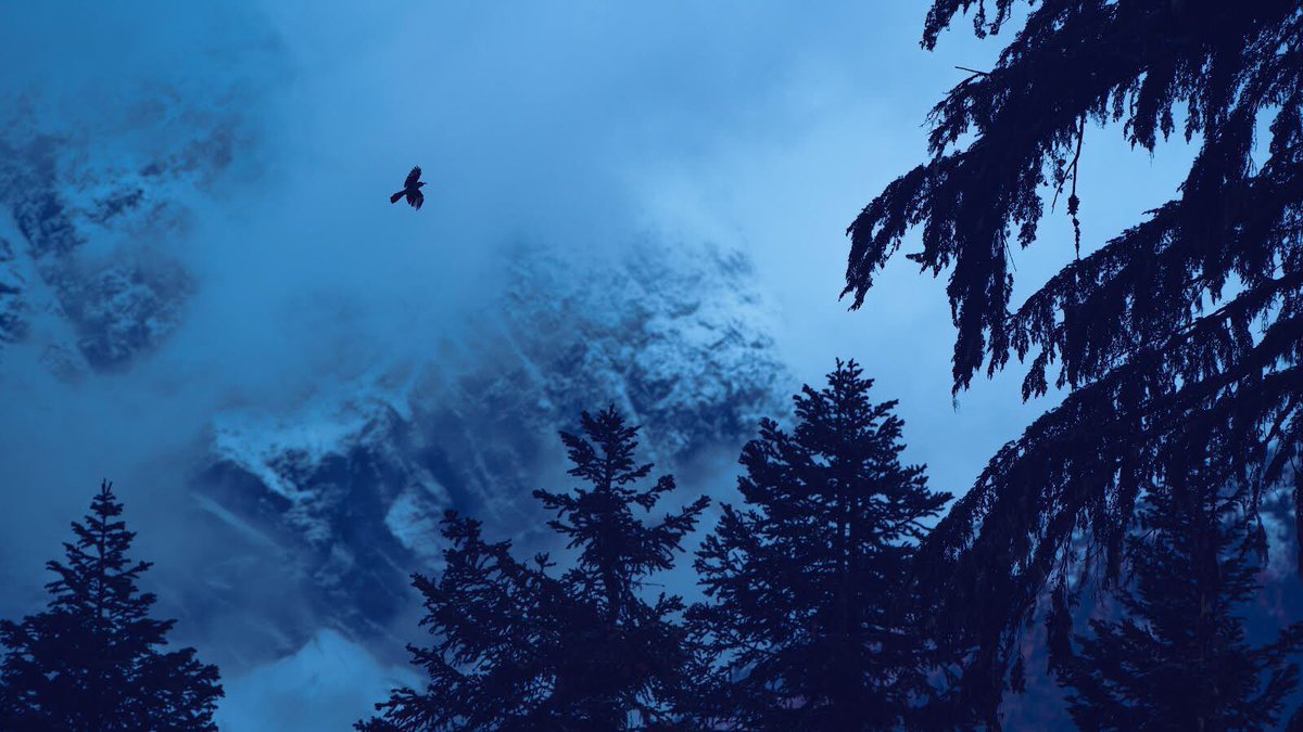 Eamon 🌃 tweet media