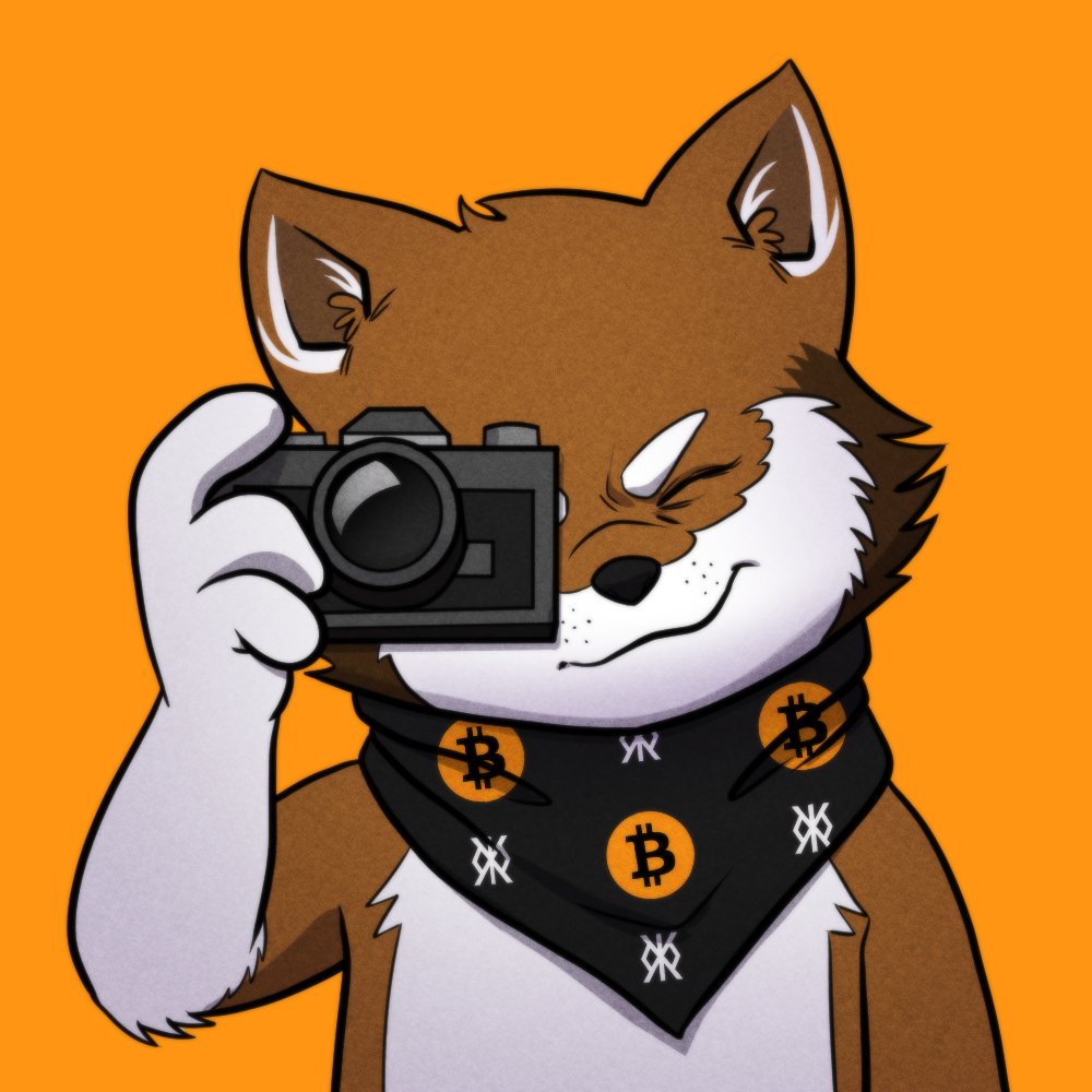 📸 The Snap Shot is Complete.

Rune Door and $LOBO wallets are locked in, ready for Mint Day: Dec 11.

Submit your Collab forms today and be part of the Loboverse.