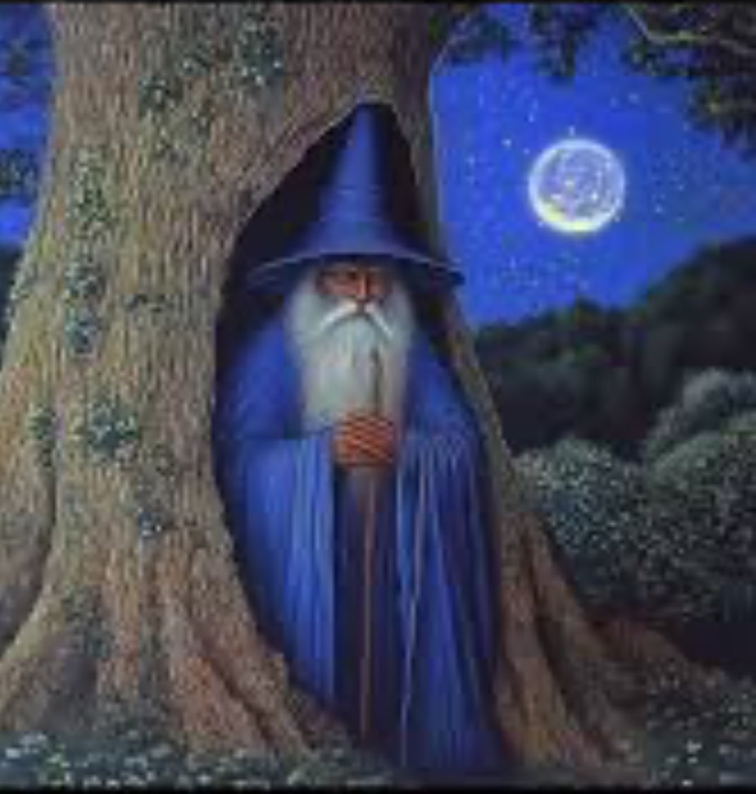 Omun wild tweet media