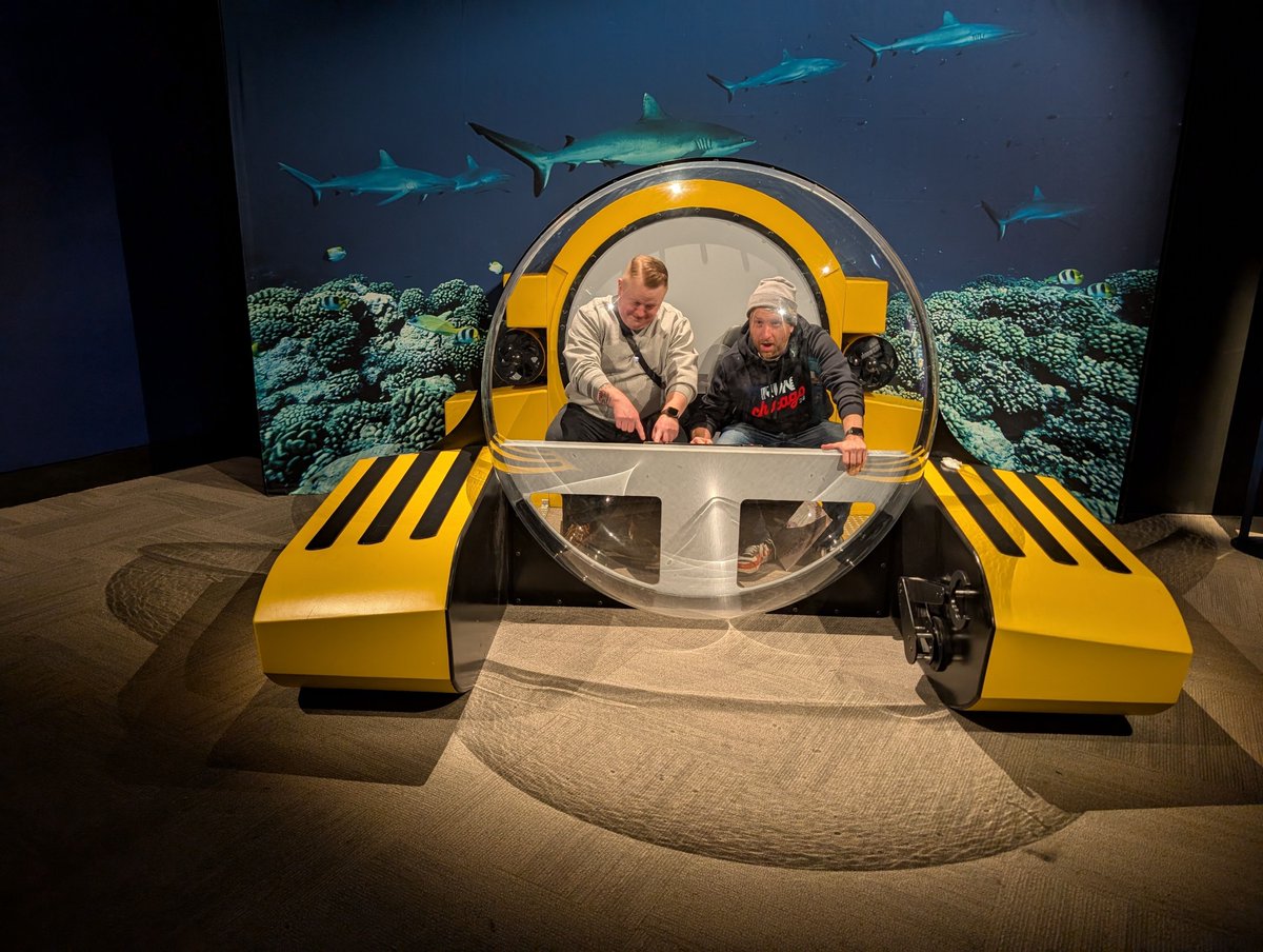 lightswitch tweet media