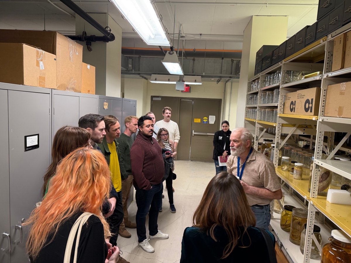 lightswitch tweet media