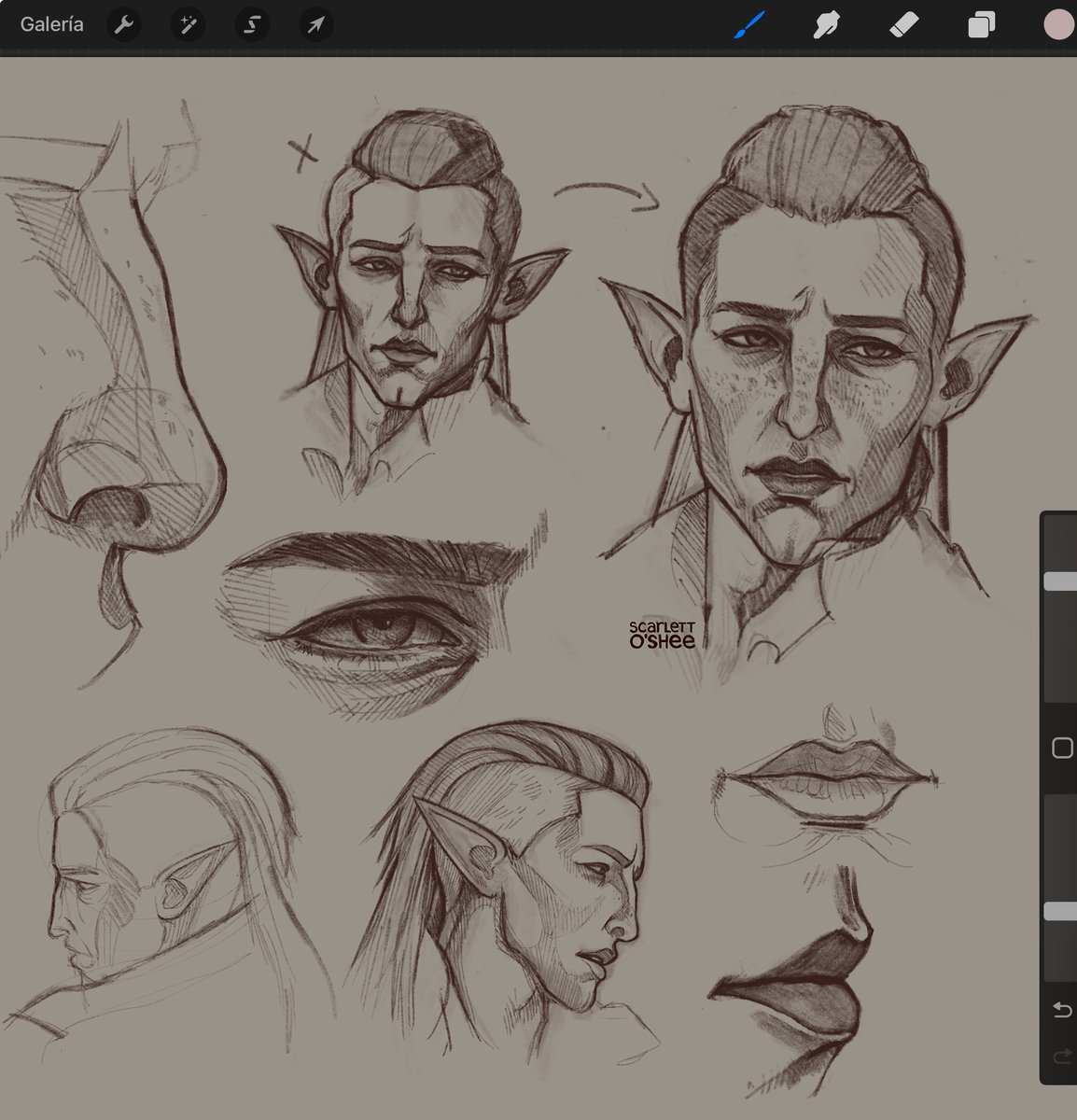 scarlettoshee's tweet image. Solas studies 💜🐺

#veilguardspoilers #dragonage