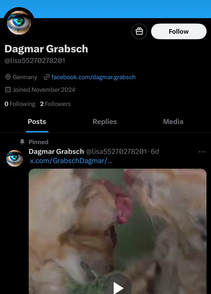 OPERATION BLEACH tweet media