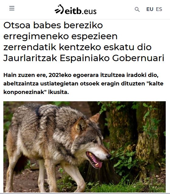EguzkiEH's tweet image. Eta angulek zer "kalte konponezin" eragiten dute? Nongo artalderi egiten diote eraso ? Zein sektore ekonomiko jartzen dute arriskutan? Bbiodibertsitate-kontuetan, #Jaurlaritzaren tostada beti gurinaren aldetik erortzen da. Jasangarritasunaren izenean, jakina.

#otsoa #angulak