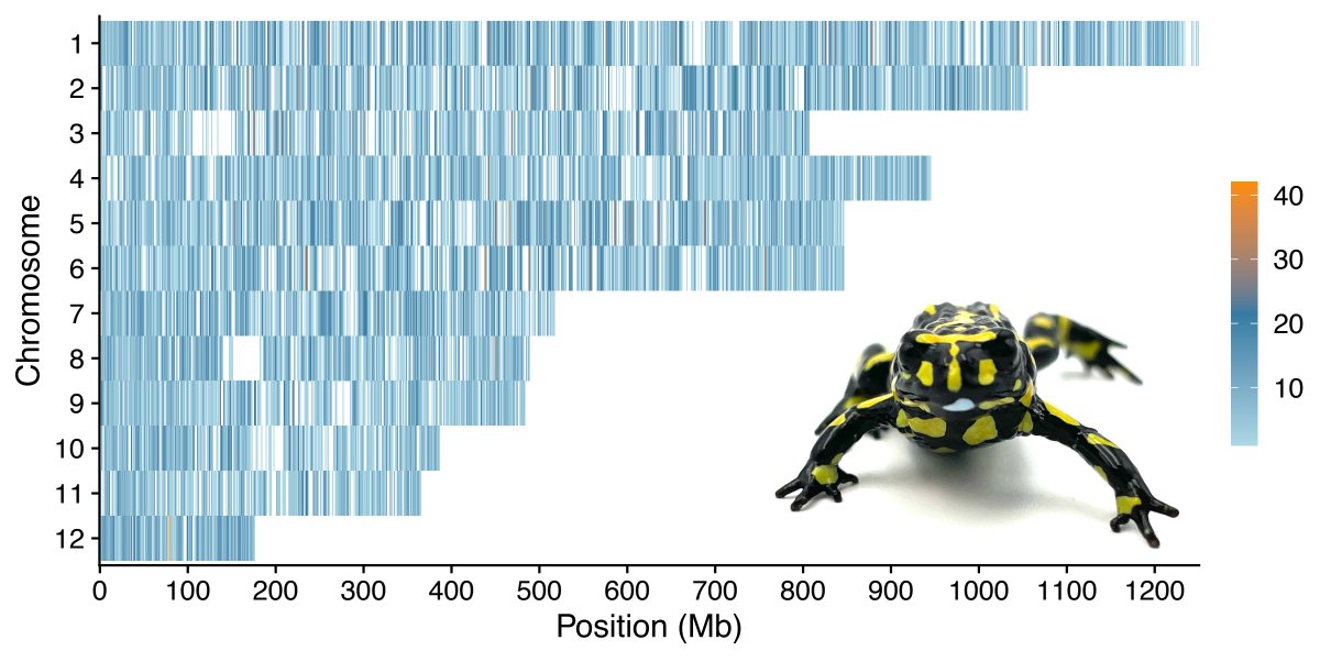 Dr Tiffany Kosch 👩🔬 🤿🐸🧬 (@takosch) on Twitter photo Check out our new preprint on the first frog SNP array we designed to help improve conservation efforts for corroboree frogs. Big shoutout to Miki Davidson @MicrobeMikfor for her awesome work leading this project! <a href="/Keogh_Lab/">Keogh Lab (@keoghlabanu.bsky.social)</a> <a href="/UniMelb/">University of Melbourne</a> <a href="/SciMelb/">Science at Melbourne</a>
authorea.com/users/868709/a… Check out our new preprint on the first frog SNP array we designed to help improve conservation efforts for corroboree frogs. Big shoutout to Miki Davidson @MicrobeMikfor for her awesome work leading this project! <a href="/Keogh_Lab/">Keogh Lab (@keoghlabanu.bsky.social)</a> <a href="/UniMelb/">University of Melbourne</a> <a href="/SciMelb/">Science at Melbourne</a>
authorea.com/users/868709/a…