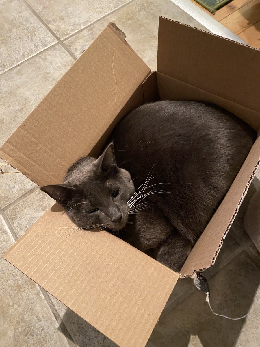 Liam O'Mara tweet media