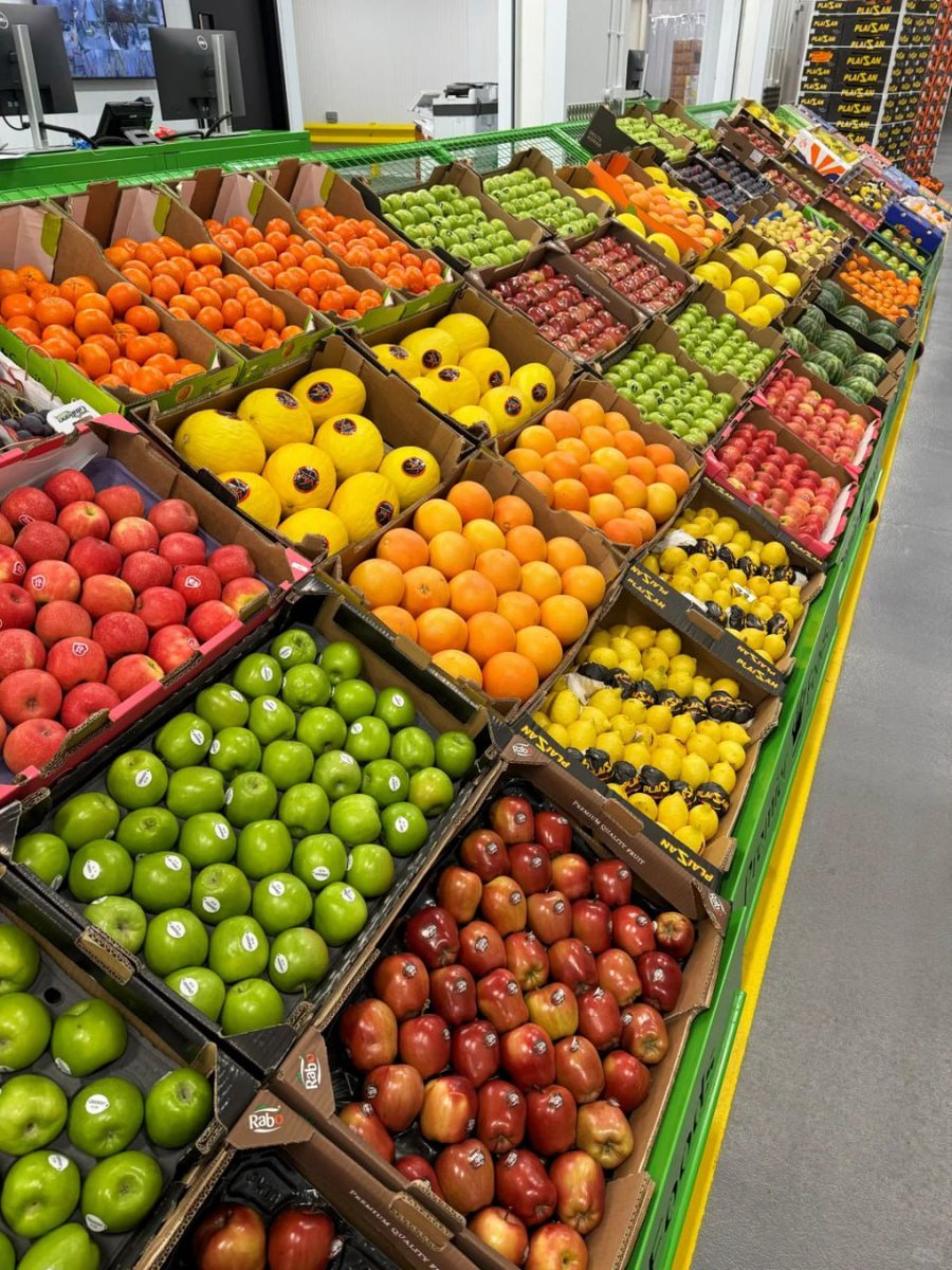 A vibrant array of fresh vegetables neatly displayed in boxes, featuring a variety of peppers, tomatoes, eggplants, and more✨