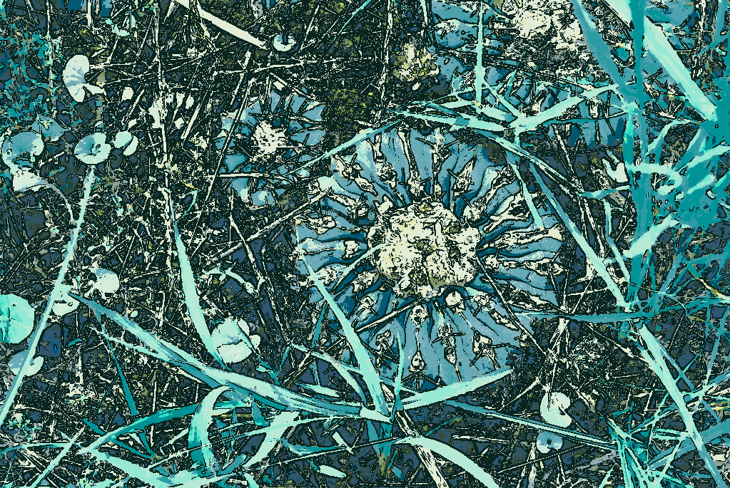 paulvangian's tweet photo. Ethereal Botanica - Sublime Foliage #1
#NFT #NFTArt #NFTCommunity #CryptoArt #GenerativeNFT #DigitalArt #NFTCollector #PolygonNFT #デジタルアート #イラスト #アート #NFTアート #クリエイター #デジタルイラスト #アート好きな人と繋がりたい #アートワーク #NFTコレクション https://t.co/DZBqxuULpG