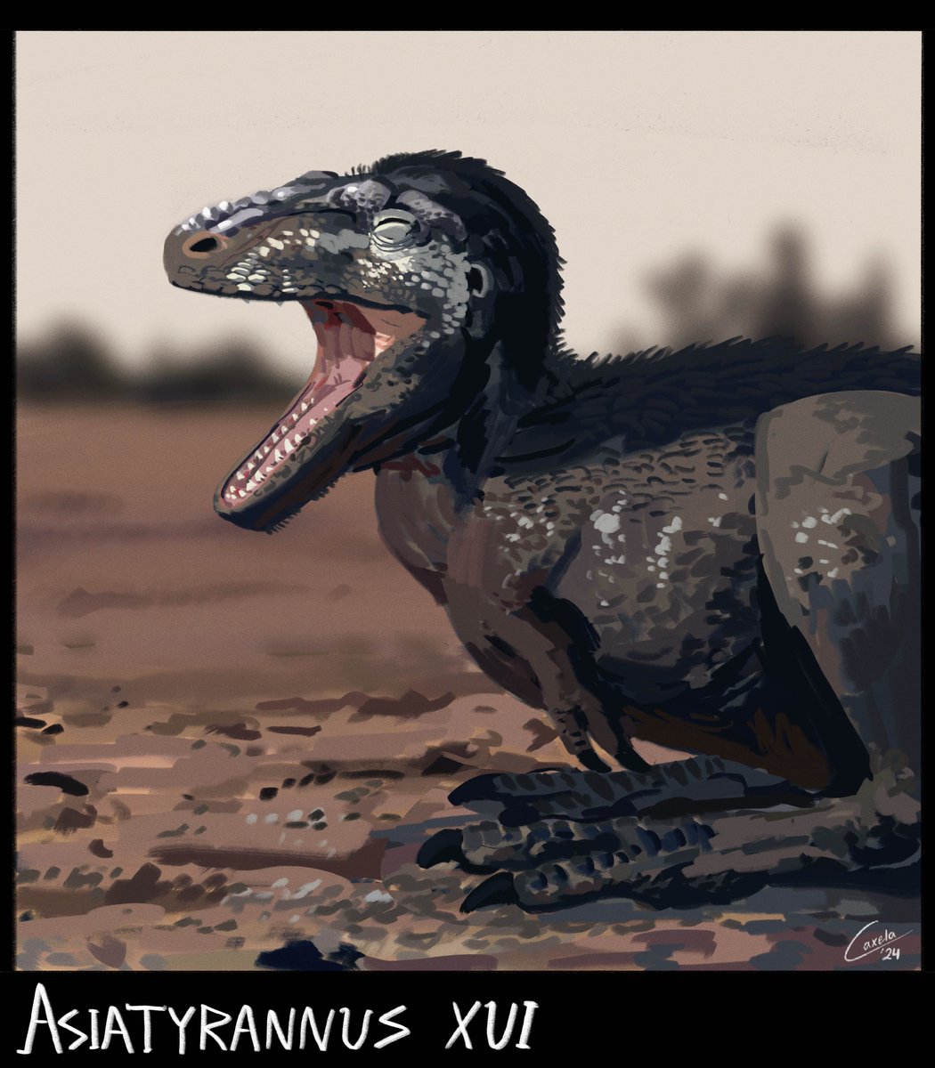 caxela1's tweet photo. Dinocember Day 4: Asiatyrannus https://t.co/NbXETmE8zH
