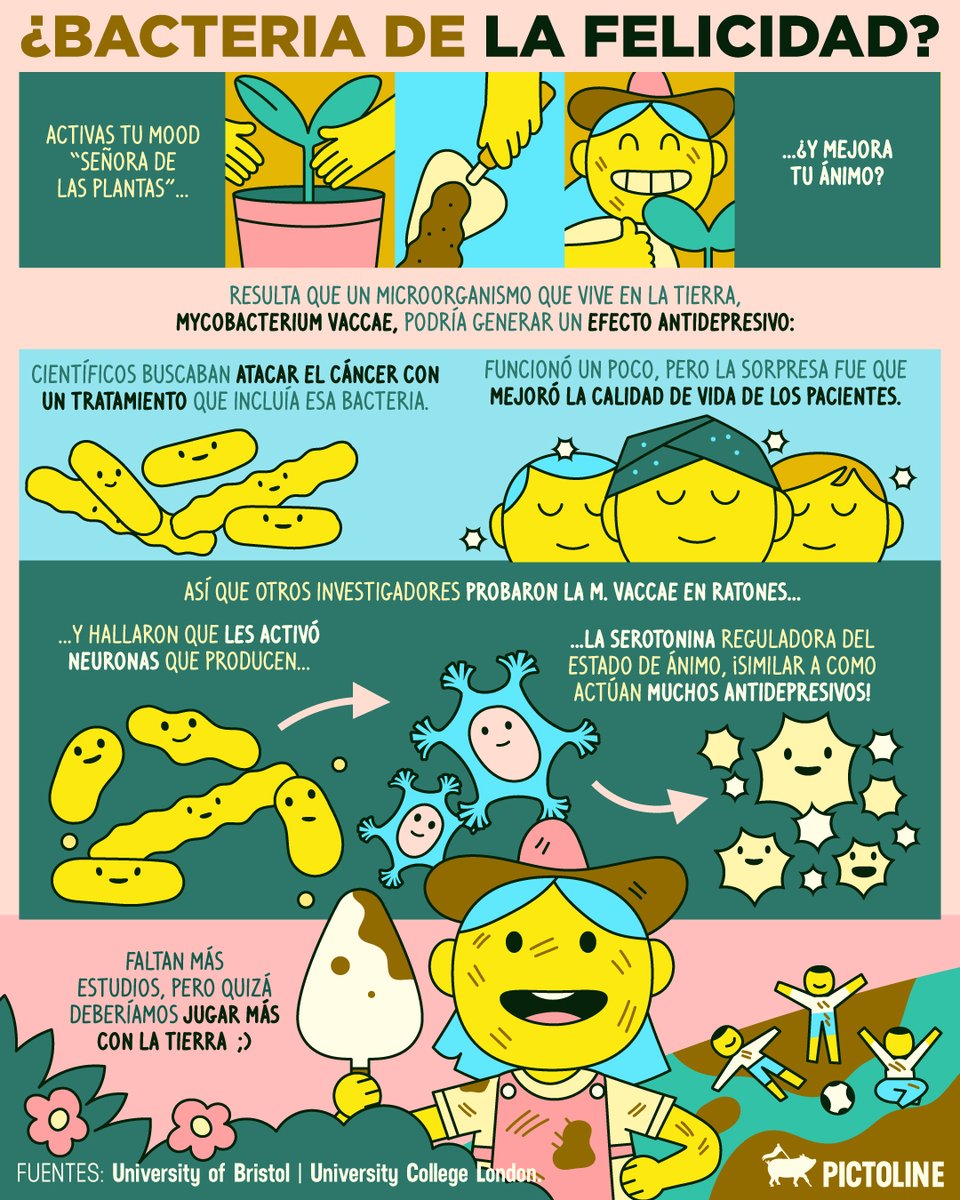 pictoline's tweet photo. En cosas que jamás hubiera imaginado: ¡bacterias que podrían combatir la depresión! ✨🦠🫶🪴
#BacteriasAntidepresivas
#CienciaDelÁnimo
#BacteriasQueCuran
#TuCerebroLoAgradece
#Pictoline https://t.co/wXYffEfmMI