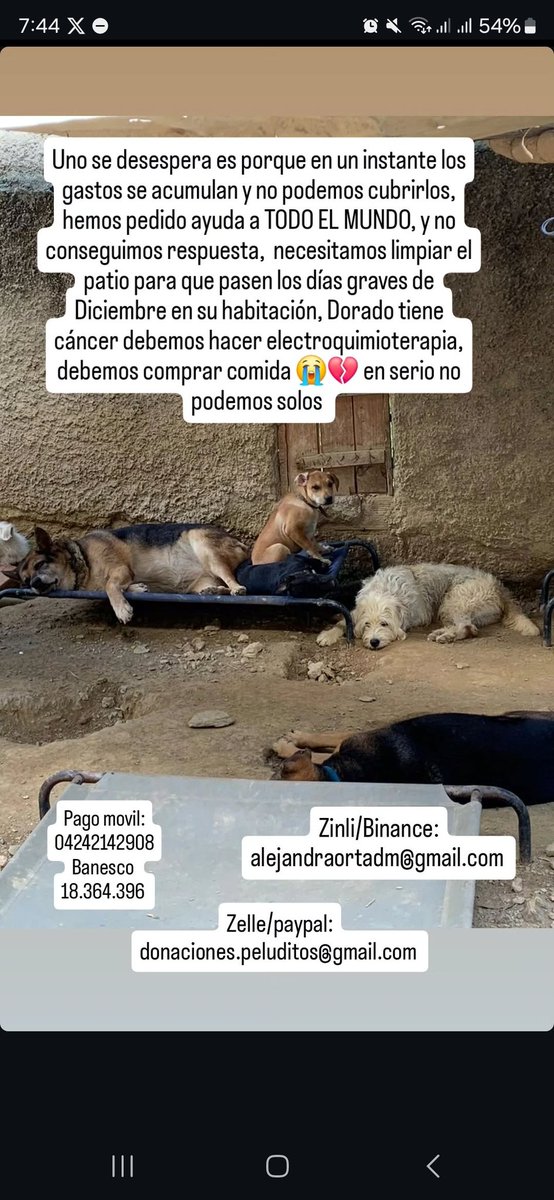 Dori otra vez tiene cáncer, necesitamos ayuda también para comidita y poder brindarles una feliz navidad en su habitación