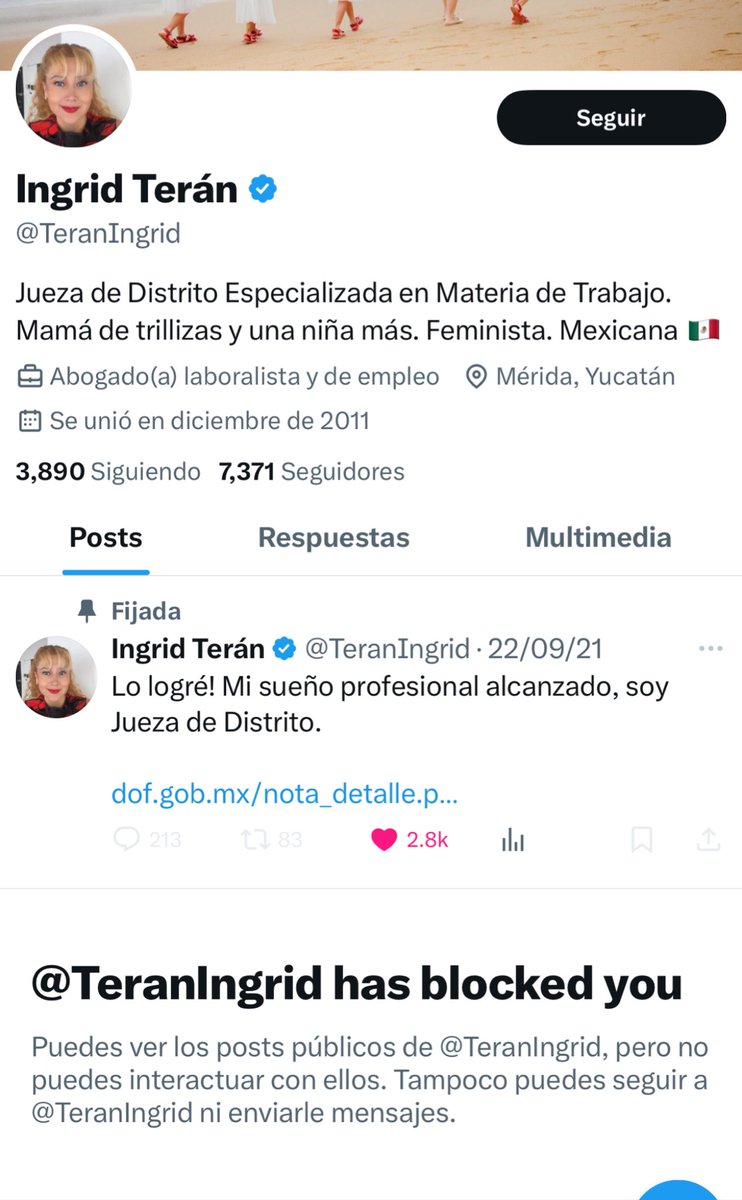 Y si promuevo un amparo para que me desbloquee. En su perfil se ostenta servidora pública 👀. Cuando politizas la justicia debes de tener la piel gruesa