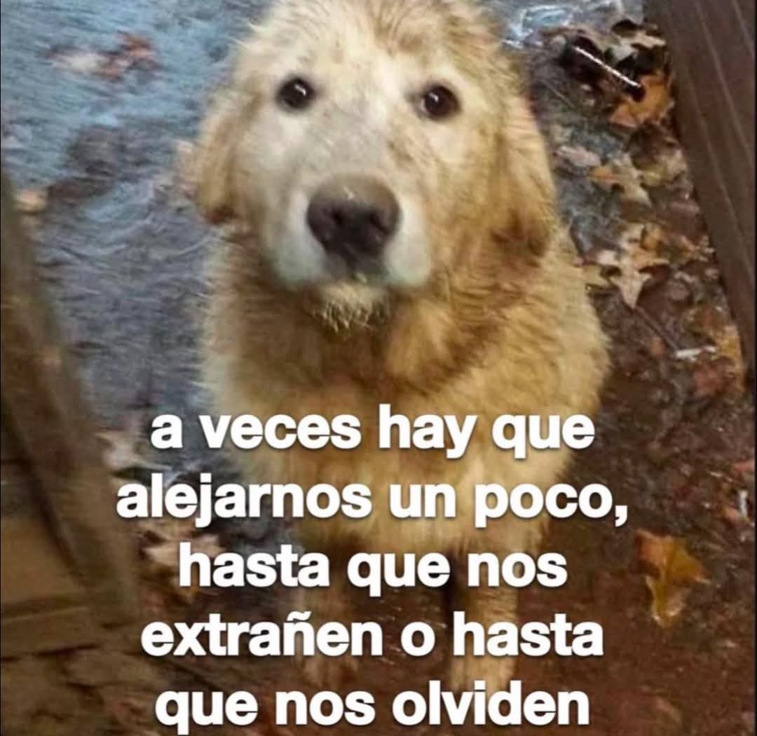 FraseSimple's tweet photo. https://t.co/Zb3a3gr6og