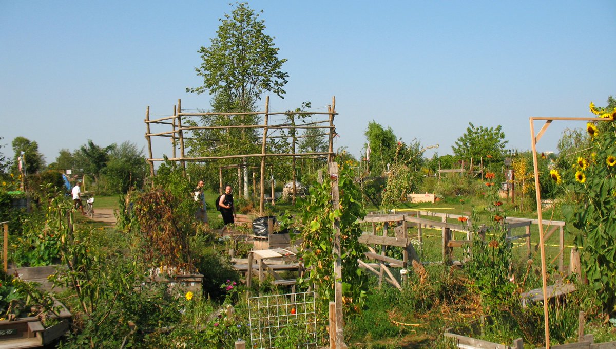 Architekten und Du/Sie für ein freies #TempelhoferFeld 💐 Auf dem Feld und auf der Unterschriftenliste ist Platz für Demokratie docs.google.com/forms/d/e/1FAI…