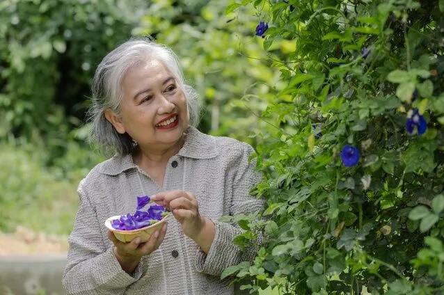 Sunshine Retirement tweet media